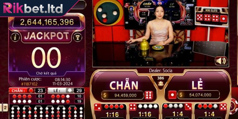 Xóc Đĩa Livestream RIKBET – Giải Trí Hấp Dẫn Cùng Người Đẹp 2 Hệ thống trả thưởng trong Xóc Đĩa livestream tại RIKBET