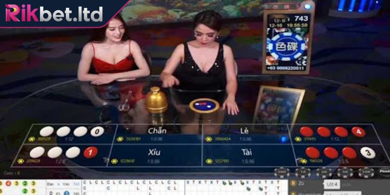 Xóc Đĩa Livestream RIKBET – Giải Trí Hấp Dẫn Cùng Người Đẹp 1 Tổng quát vài nét về game Xóc Đĩa livestream RIKBET